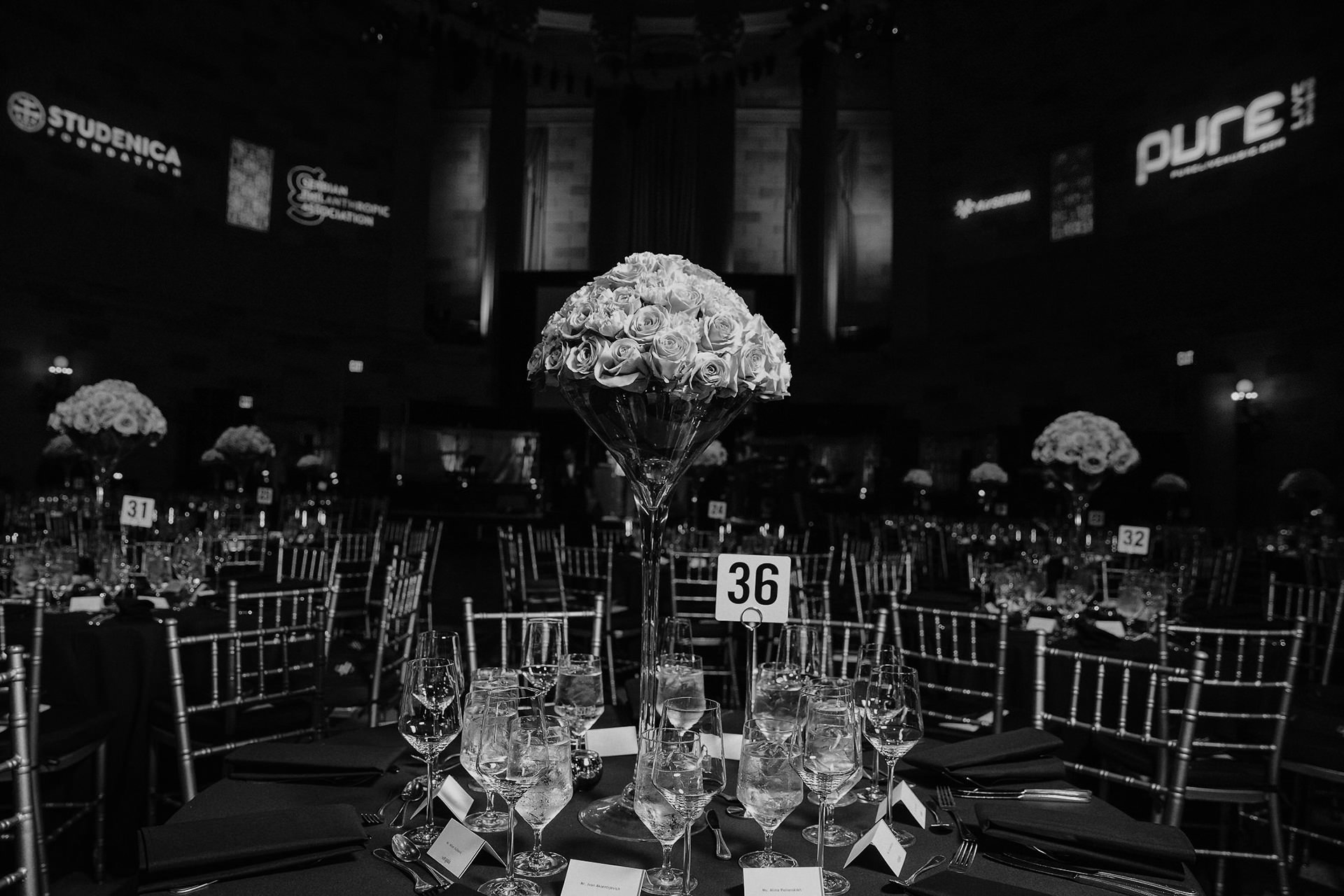 program and entertainment